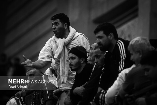 فینال لیگ برتر کشتی آزاد