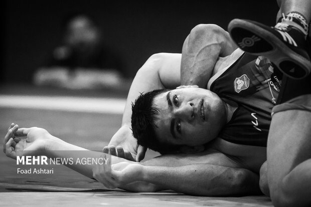 فینال لیگ برتر کشتی آزاد