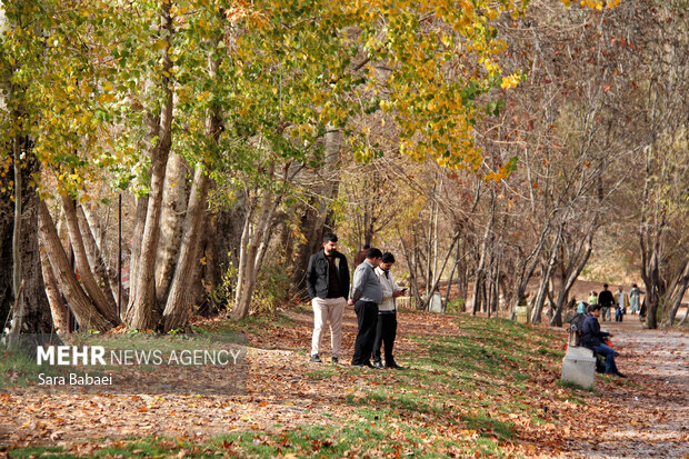 پاییز در طاق‌بستان؛ تلاقی رنگ‌های فصل با تاریخ سنگی کرمانشاه
