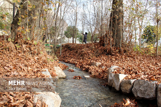 پاییز در طاق‌بستان؛ تلاقی رنگ‌های فصل با تاریخ سنگی کرمانشاه