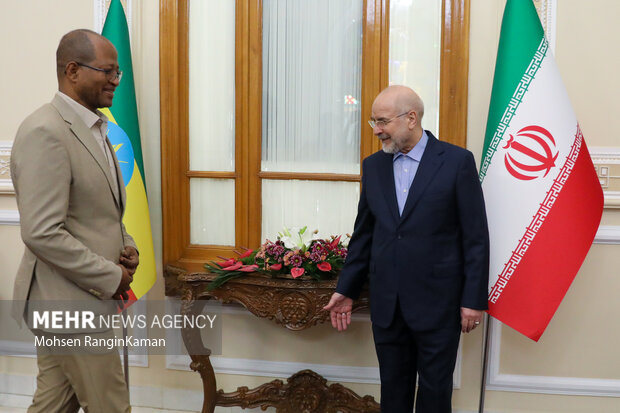 دیدار رئیس مجلس اتیوپی با رئیس مجلس شورای اسلامی