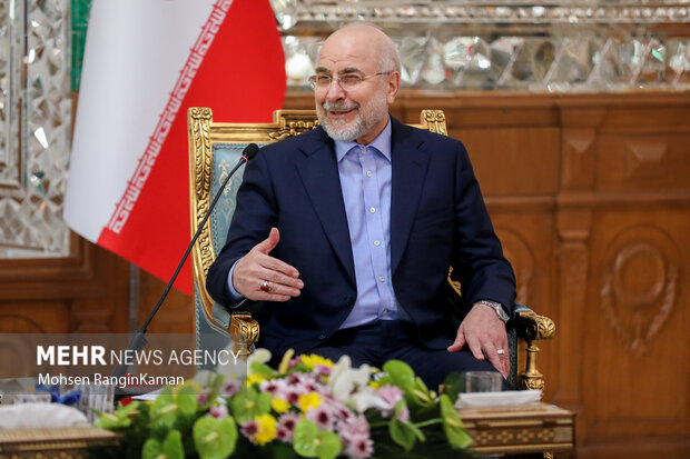 دیدار رئیس مجلس اتیوپی با رئیس مجلس شورای اسلامی