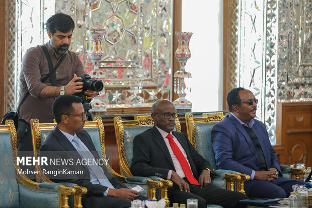 دیدار رئیس مجلس اتیوپی با رئیس مجلس شورای اسلامی