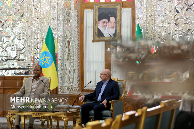 دیدار رئیس مجلس اتیوپی با رئیس مجلس شورای اسلامی