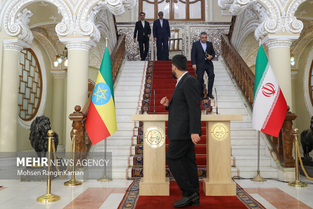 دیدار رئیس مجلس اتیوپی با رئیس مجلس شورای اسلامی