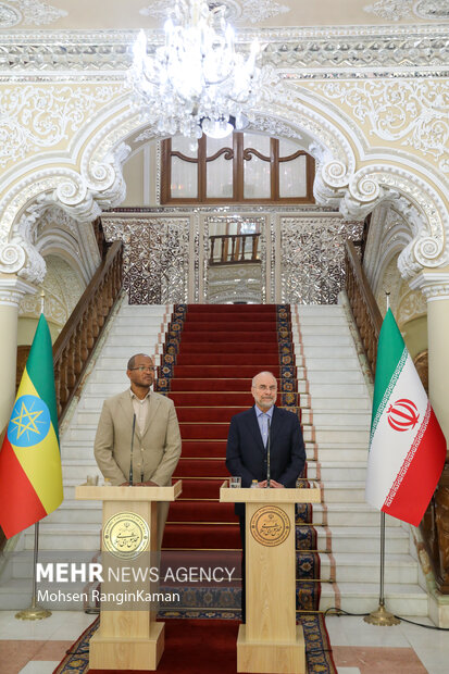 دیدار رئیس مجلس اتیوپی با رئیس مجلس شورای اسلامی