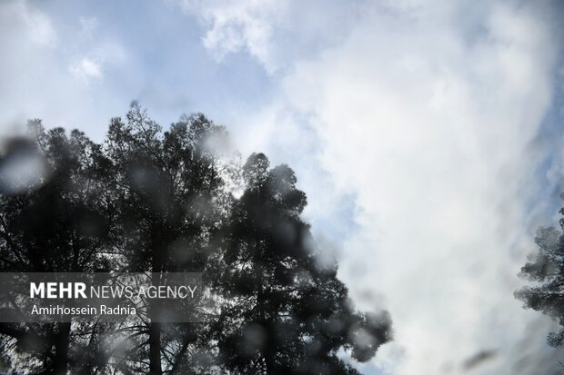 اولین بارش پاییزی باران در بیرجند