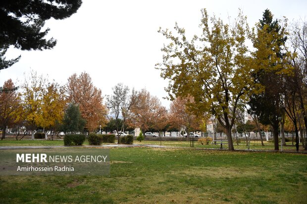 اولین بارش پاییزی باران در بیرجند