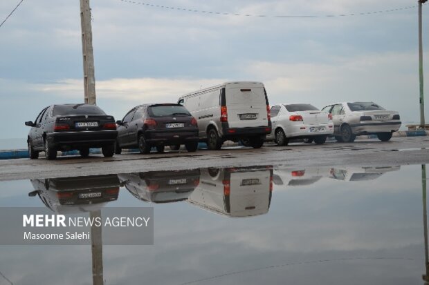 آبگرفتگی محلات بندرعباس؛ همه چیز برای تکثیر پشه آئدس مهیا است