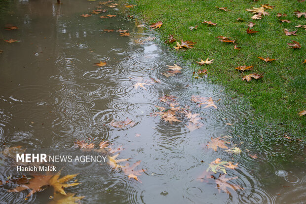 بارش باران پاییزی در جنوب سیستان و بلوچستان