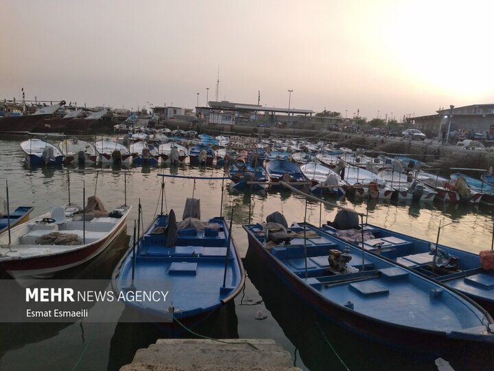 تردد همه شناورها در بندر گناوه ممنوع شد
