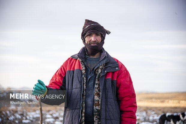 یکی از چوپانان روستای حسن رباط اصفهان