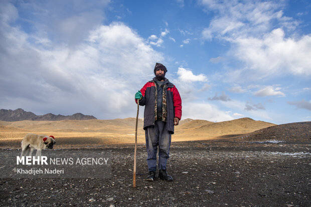 یکی از چوپانان روستای حسن رباط اصفهان