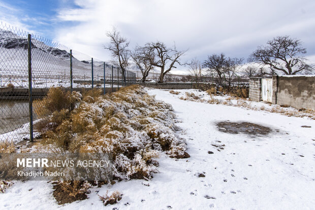 کوچه باغ های روستا