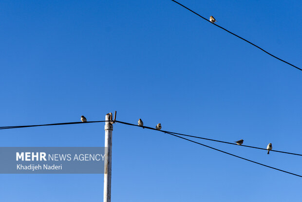 روستای حسن رباط اصفهان