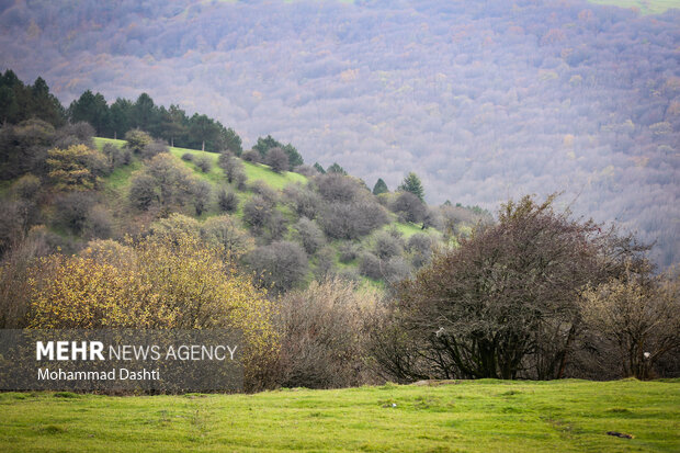 پاییز در جنگل فندقلو نمین