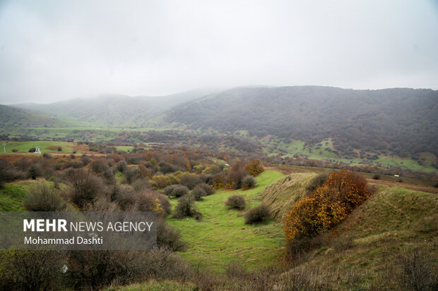 پاییز در جنگل فندقلو نمین