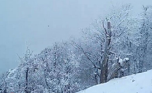 روزهای آخر پاییزی در مازندران؛ برفی، بارانی و شاید سیلابی