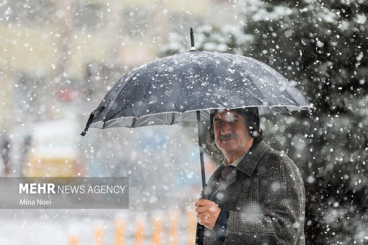 بارش برف صدرا و قلات شیراز را سفیدپوش کرد