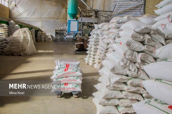 توزیع برنج دولتی در بوشهر آغاز شد