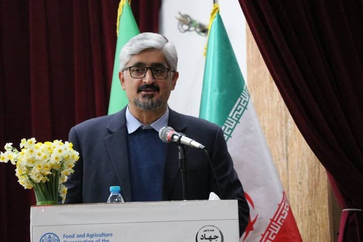 بهجت حقیقی: تشکل‌ها بازوی توانمند جهاد کشاورزی در تنظیم بازار هستند