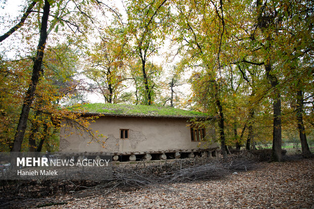بازدید وزیر میراث فرهنگی از موزه روستایی قرق