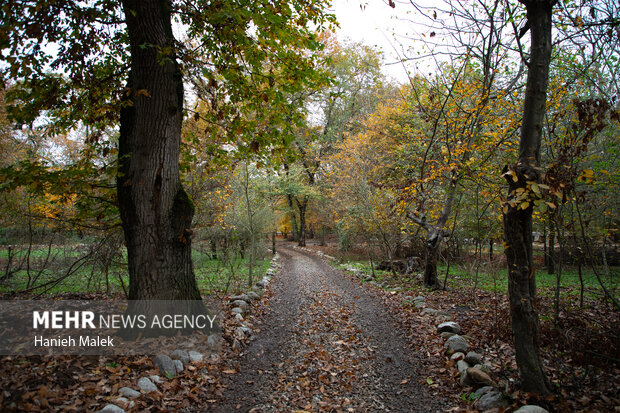 بازدید وزیر میراث فرهنگی از موزه روستایی قرق