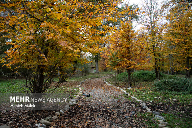 بازدید وزیر میراث فرهنگی از موزه روستایی قرق