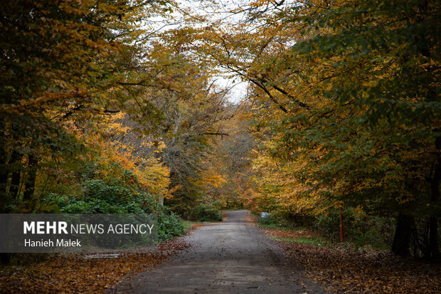 بازدید وزیر میراث فرهنگی از موزه روستایی قرق