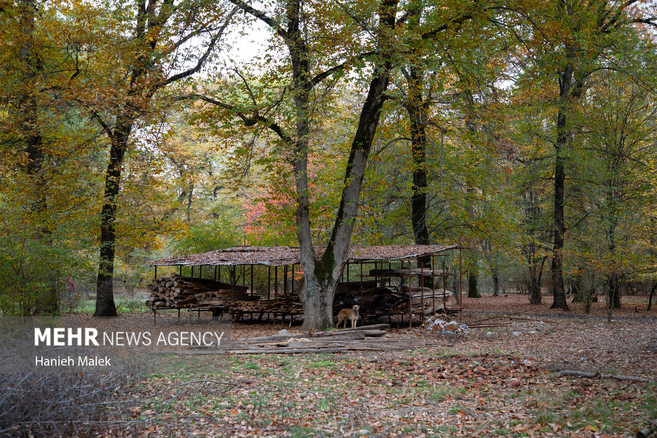 موزه روستایی گلستان نوروز ۱۴۰۵ میزبان گردشگران میشود