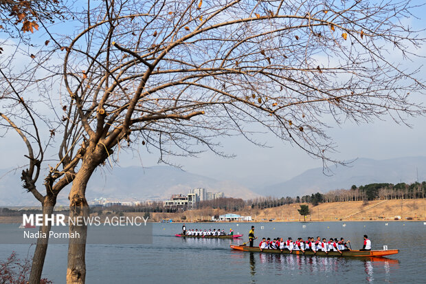لیگ دراگون بوت آقایان