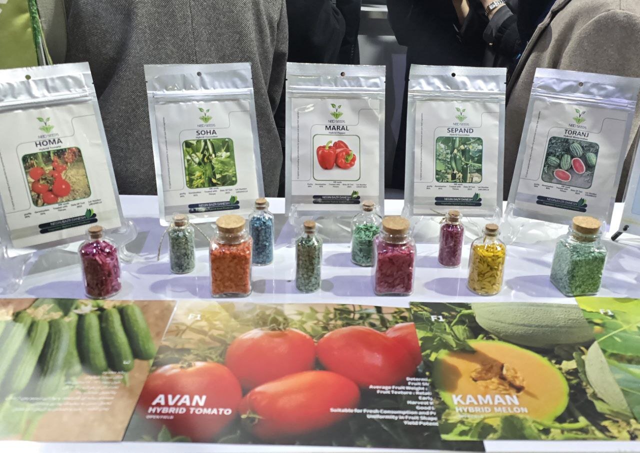 ۲۱کلید فناورانه برای ابرچالشهای کشور؛ از ناترازی انرژی تا مهار ریزگرد