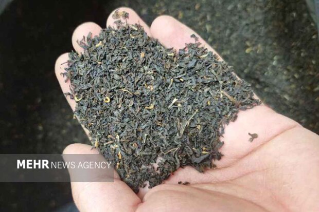 کشف ۶ تن چای خشک قاچاق در پاکدشت