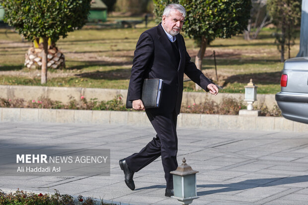 محمدرضا صالحی امیری وزیر میراث فرهنگی در حاشیه جلسه هیئت دولت