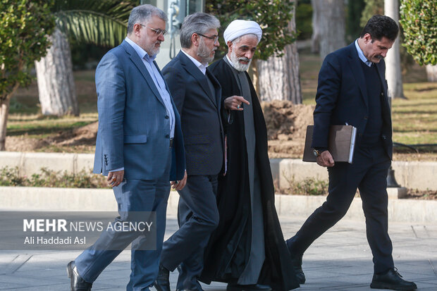 حجت‌الاسلام مجید انصاری معاون حقوقی رئیس جمهور در حاشیه جلسه هیئت دولت