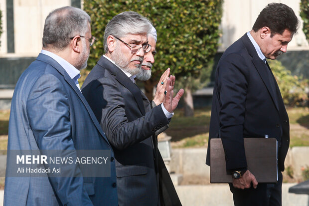 حسین سیمایی صراف وزیر علوم در حاشیه جلسه هیئت دولت