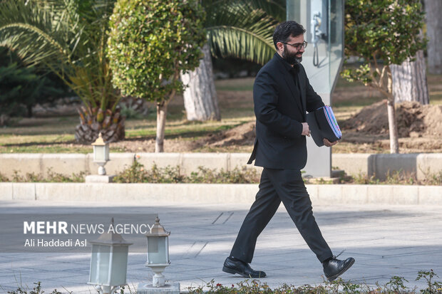 حاشیه جلسه هیئت دولت