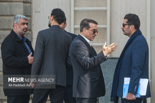 حاشیه جلسه هیئت دولت