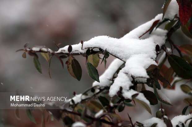 بارش اولین برف پاییزی در اردبیل