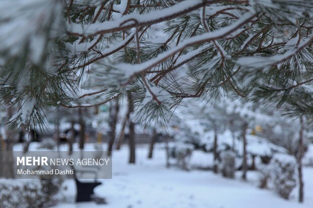 بارش اولین برف پاییزی در اردبیل