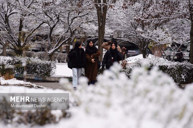 بارش اولین برف پاییزی در اردبیل