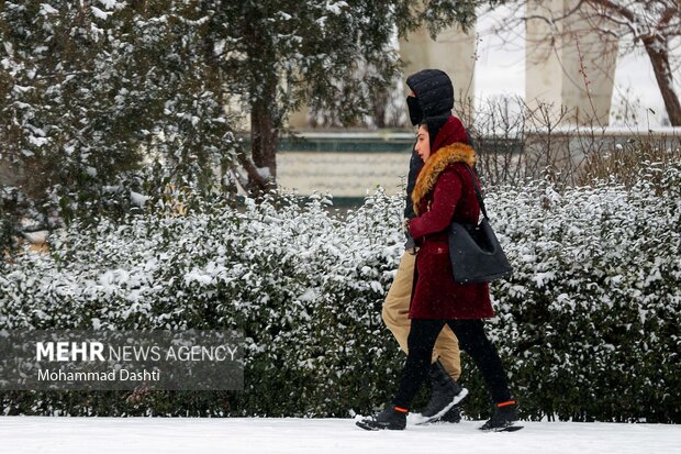بارش اولین برف پاییزی در اردبیل
