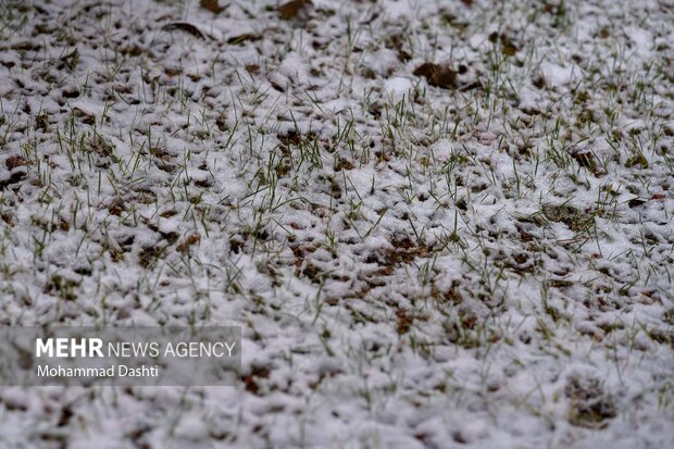 بارش اولین برف پاییزی در اردبیل