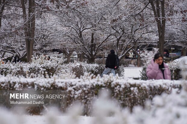 بارش اولین برف پاییزی در اردبیل