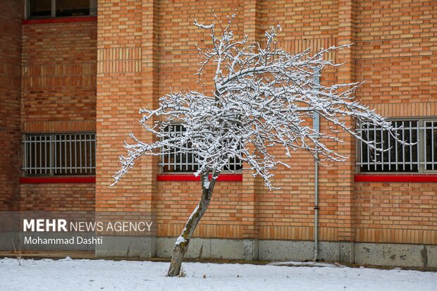 بارش اولین برف پاییزی در اردبیل