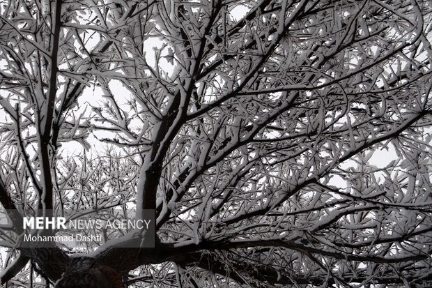 بارش اولین برف پاییزی در اردبیل