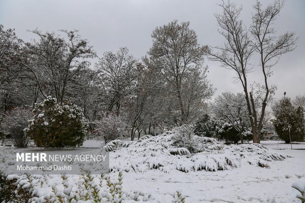 ارتفاع ۴۰ سانتی متری برف در کجور؛ راه ۴۲ روستای بالادست بسته است