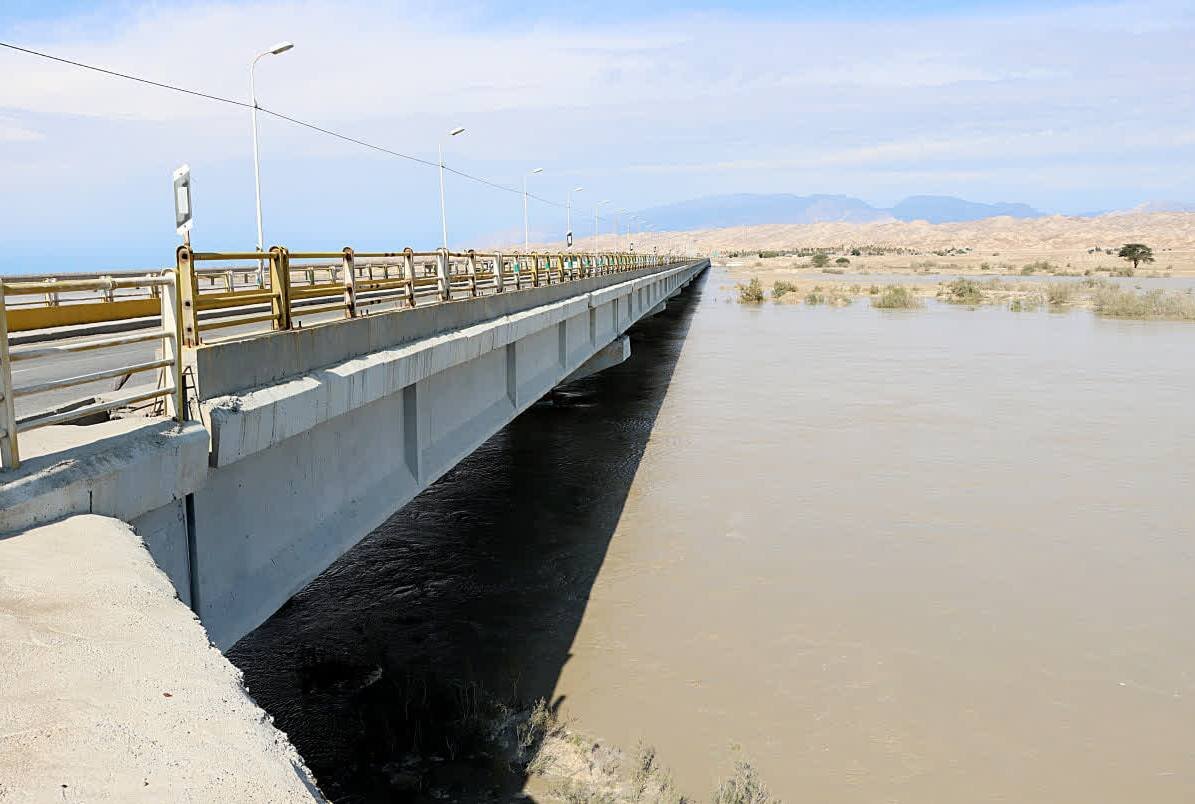 فرماندار دشتی: مسیر منتهی به روستای کردلان مسدود شد