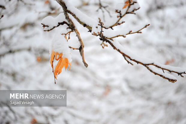 اولین برف سال در همدان