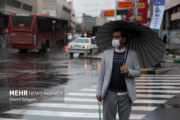 بارش باران در مشهد
